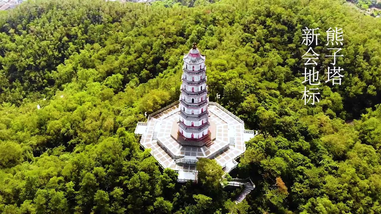 新会特产小青柑厂家直销 正宗新会天马普茶 散装批发陈皮普洱茶叶